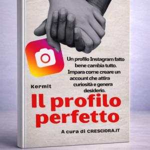 Il profilo perfetto - seduci con Insta